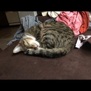 Meet your Posher, Xavier